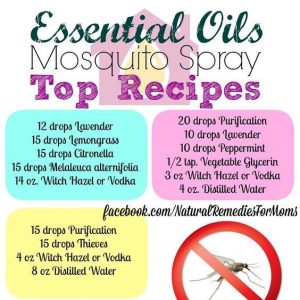 essential oils for insect repellents