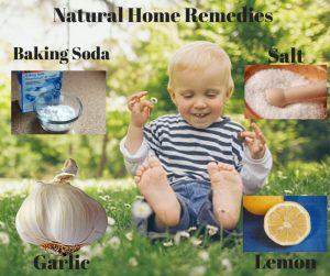 Natural Home Remedies For Mosquito Bites
