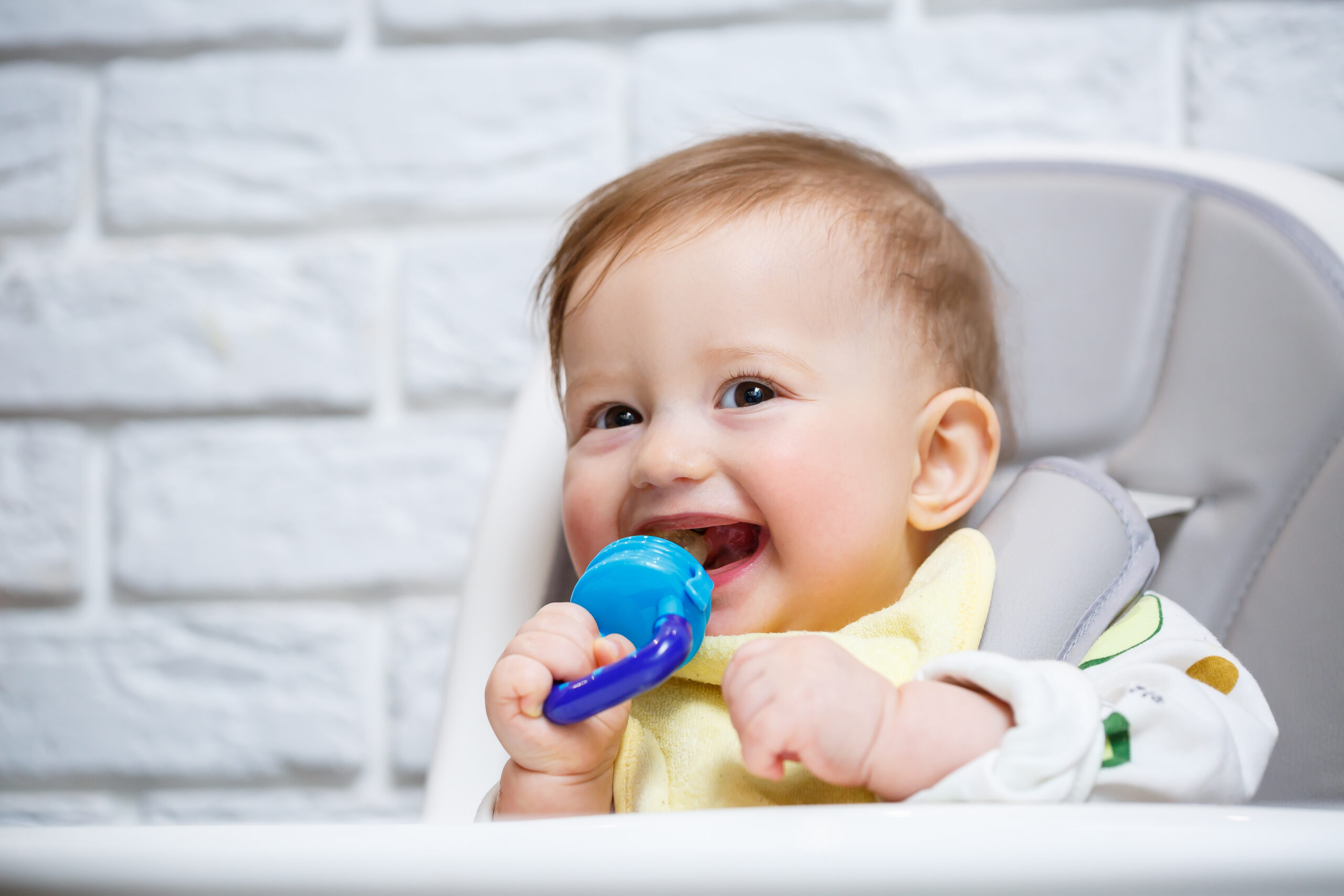 Is Fruit Nibbler Good For Babies? - Safe-O-Kid